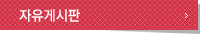자유게시판